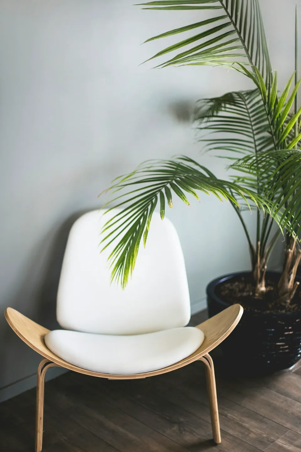 Butaca de madera curvada con asiento blanco junto a una planta.